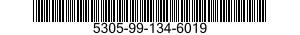 5305-99-134-6019 SCREW,CAP,SOCKET HEAD 5305991346019 991346019