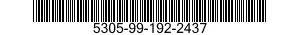 5305-99-192-2437  5305991922437 991922437