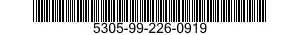 5305-99-226-0919 SCREW,CAP,HEXAGON HEAD 5305992260919 992260919