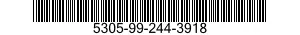 5305-99-244-3918 SCREW,MACHINE 5305992443918 992443918