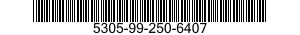 5305-99-250-6407  5305992506407 992506407