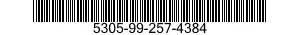 5305-99-257-4384 SCREW,CAP,SOCKET HEAD 5305992574384 992574384