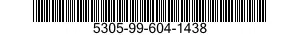 5305-99-604-1438  5305996041438 996041438
