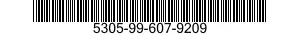5305-99-607-9209  5305996079209 996079209