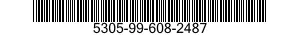 5305-99-608-2487 SCREW,MACHINE 5305996082487 996082487