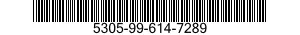 5305-99-614-7289 SCREW,CAP,SOCKET HEAD 5305996147289 996147289