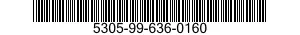 5305-99-636-0160  5305996360160 996360160