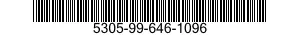 5305-99-646-1096 SCREW,CAP,SOCKET HEAD 5305996461096 996461096