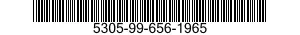 5305-99-656-1965  5305996561965 996561965