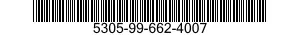 5305-99-662-4007  5305996624007 996624007