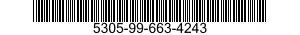 5305-99-663-4243 SCREW,MACHINE 5305996634243 996634243