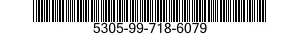 5305-99-718-6079  5305997186079 997186079