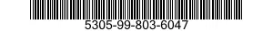 5305-99-803-6047  5305998036047 998036047