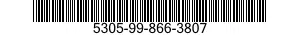 5305-99-866-3807 SCREW,CAP,SOCKET HEAD 5305998663807 998663807