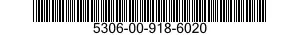 5306-00-918-6020  5306009186020 009186020