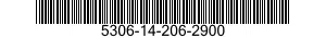 5306-14-206-2900  5306142062900 142062900