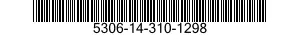 5306-14-310-1298  5306143101298 143101298