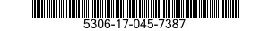 5306-17-045-7387 SCREW 5306170457387 170457387