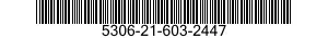 5306-21-603-2447  5306216032447 216032447