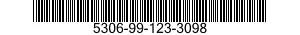 5306-99-123-3098  5306991233098 991233098