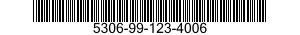 5306-99-123-4006  5306991234006 991234006