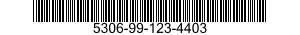 5306-99-123-4403  5306991234403 991234403