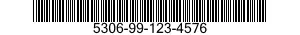 5306-99-123-4576  5306991234576 991234576