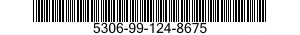 5306-99-124-8675  5306991248675 991248675