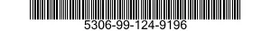 5306-99-124-9196  5306991249196 991249196