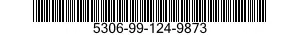 5306-99-124-9873  5306991249873 991249873