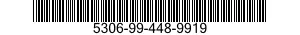 5306-99-448-9919  5306994489919 994489919