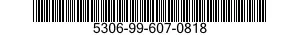 5306-99-607-0818  5306996070818 996070818