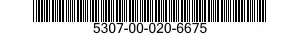 5307-00-020-6675  5307000206675 000206675