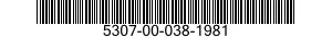 5307-00-038-1981  5307000381981 000381981