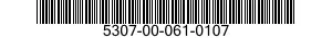 5307-00-061-0107  5307000610107 000610107