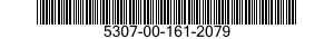 5307-00-161-2079  5307001612079 001612079