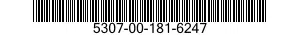 5307-00-181-6247  5307001816247 001816247