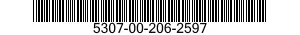 5307-00-206-2597  5307002062597 002062597