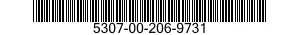 5307-00-206-9731  5307002069731 002069731