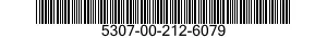 5307-00-212-6079  5307002126079 002126079
