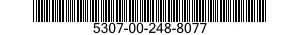 5307-00-248-8077  5307002488077 002488077