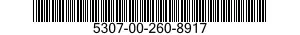 5307-00-260-8917  5307002608917 002608917