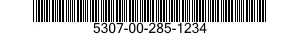 5307-00-285-1234  5307002851234 002851234