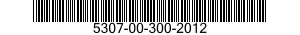 5307-00-300-2012  5307003002012 003002012