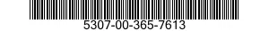 5307-00-365-7613  5307003657613 003657613