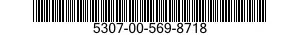 5307-00-569-8718  5307005698718 005698718