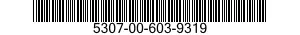 5307-00-603-9319  5307006039319 006039319