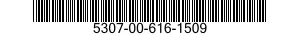 5307-00-616-1509  5307006161509 006161509