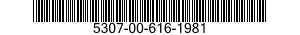 5307-00-616-1981  5307006161981 006161981