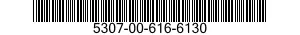5307-00-616-6130  5307006166130 006166130